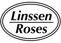 Linssen Roses